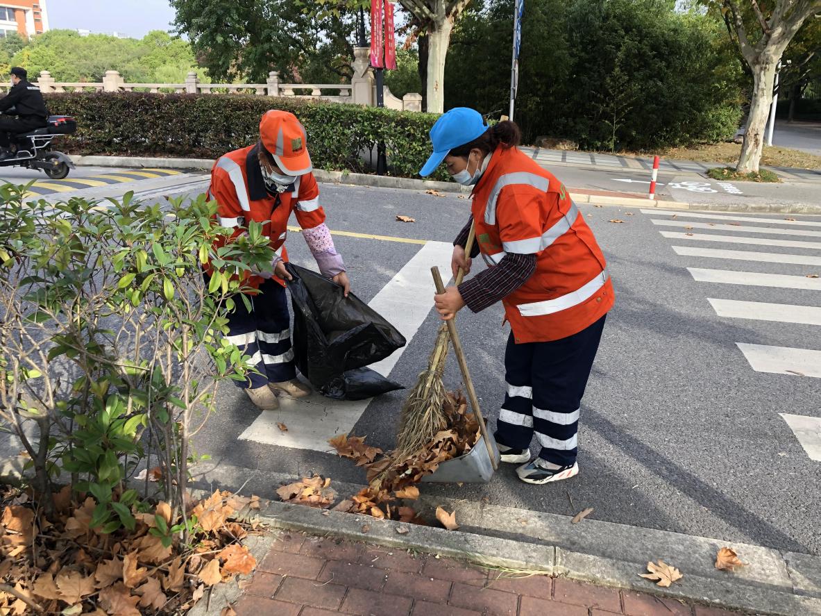 落叶区域及时清扫